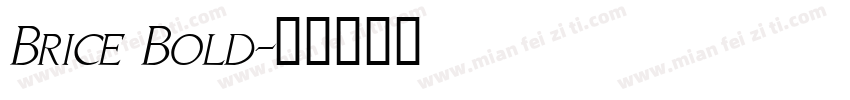 Brice Bold字体转换